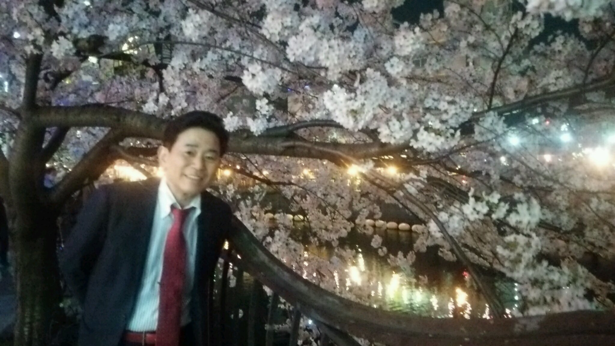 大岡川の満開の桜を観に行って来ました。_e0119092_09403654.jpg