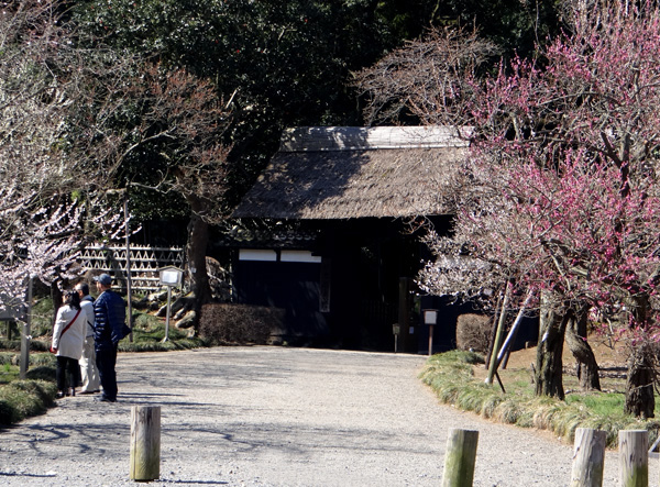 のんびり？　駆け足？　海と梅の小旅行２_a0136293_15221714.jpg