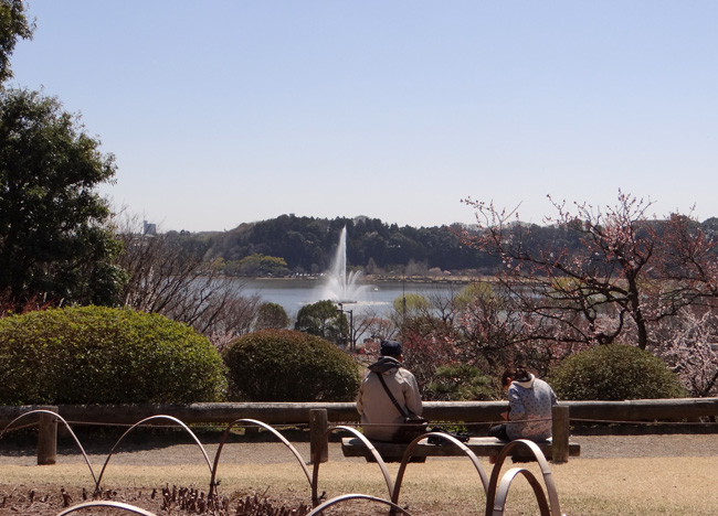 のんびり？　駆け足？　海と梅の小旅行２_a0136293_15492875.jpg