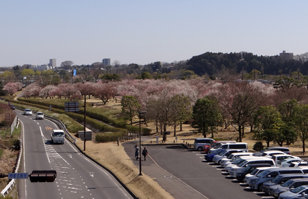 のんびり？　駆け足？　海と梅の小旅行２_a0136293_1651776.jpg