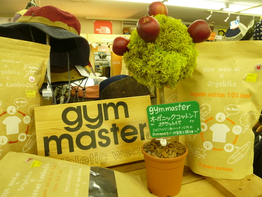 gym masterシンプルＴシャツ★_d0198793_1824994.jpg