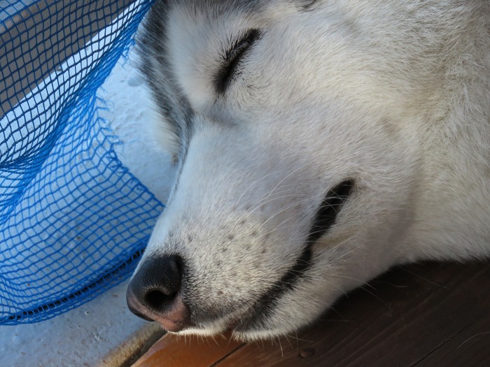 今日も楽しく朝さんぽ (^o^)_c0049299_2255534.jpg