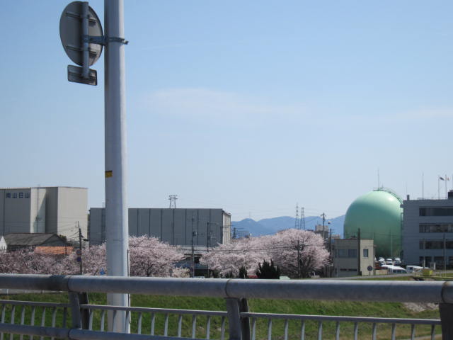 f0197703_14305820.jpg