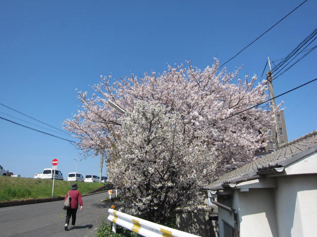 f0197703_14323156.jpg