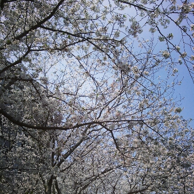 f0203203_2145273.jpg