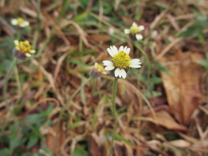 c0212604_21343790.jpg