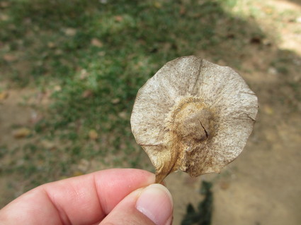 c0212604_23572882.jpg