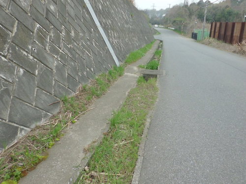 a0162505_14821.jpg