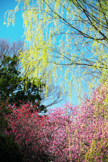 a0263109_2010332.jpg