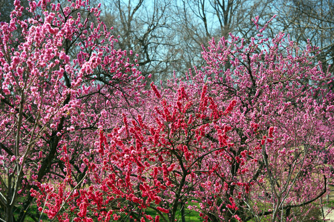 a0263109_20121451.jpg