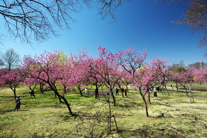 a0263109_20125537.jpg