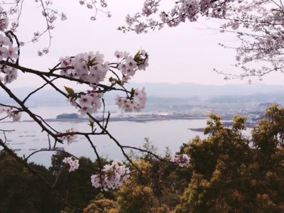 桜_a0300410_213355100.jpg