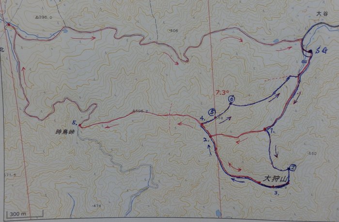 f0219710_70478.jpg