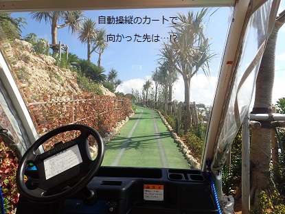 ドキワク OKINAWA 2015.４日目 【古宇利島編】_c0182012_20525979.jpg