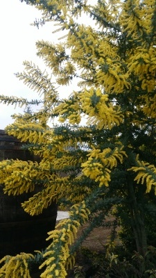 e0239312_10593723.jpg