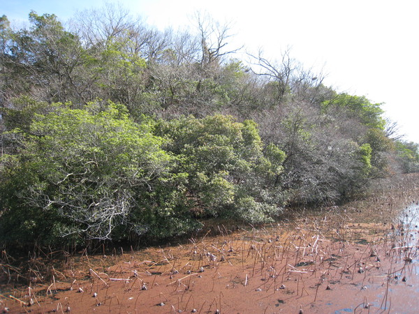 d0287413_9225586.jpg