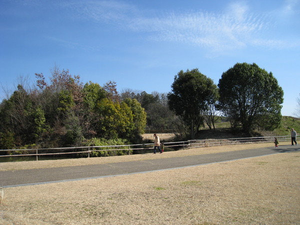 d0287413_9233914.jpg