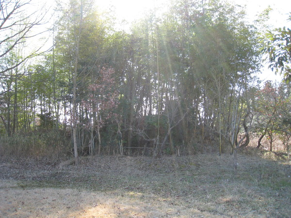 d0287413_924345.jpg