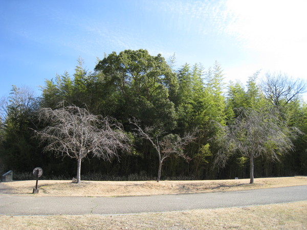 d0287413_9245277.jpg