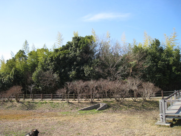 d0287413_925830.jpg