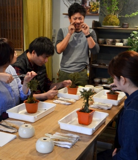 盆栽教室「春楽桜花」展 ありがとうございました_d0263815_14562163.jpg