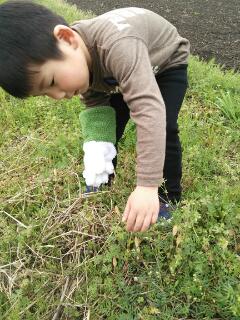 つくし_e0149215_7463342.jpg