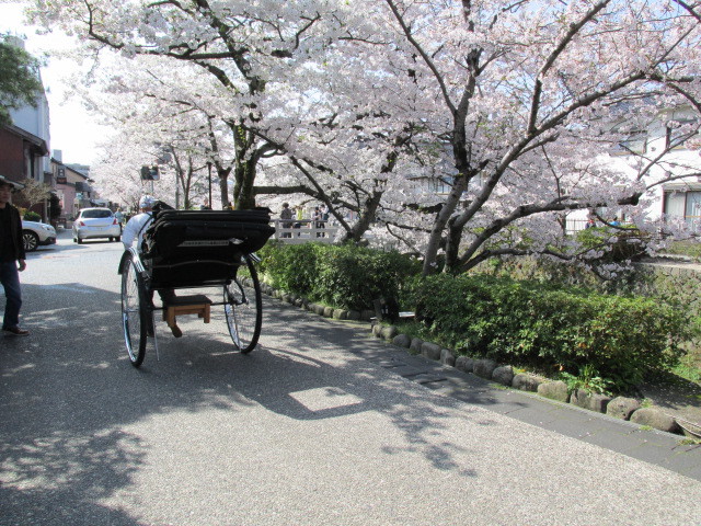 晋作も俊輔も闊歩した　サクラ馨る一の坂川の詩　４月２日（木）はれ_f0341616_18321859.jpg