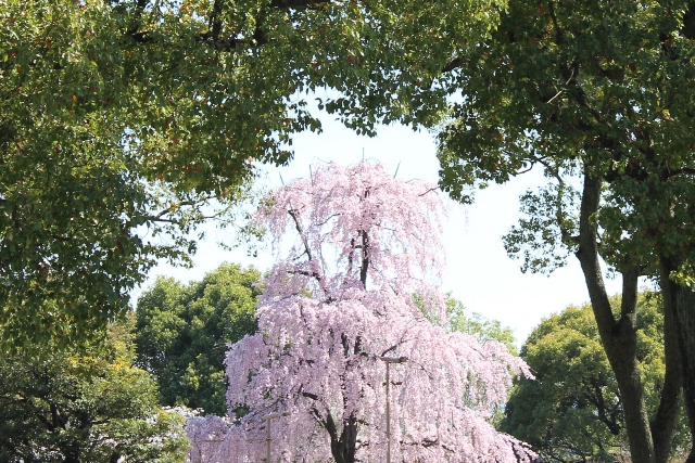 c0162817_1792550.jpg