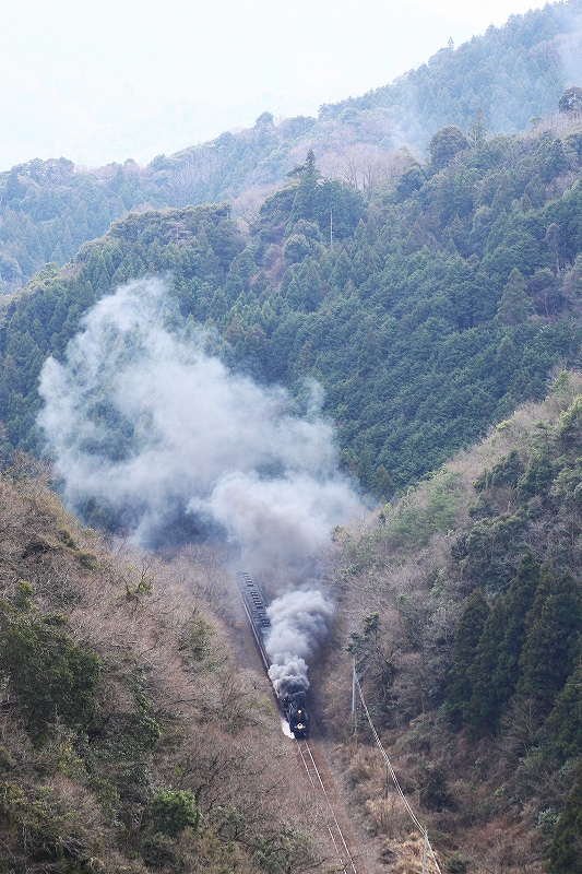 f0233120_22152129.jpg