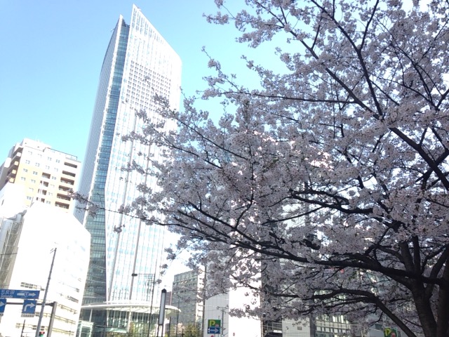 b0249826_22425248.jpg