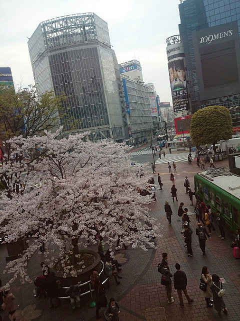 a0222229_2175934.jpg