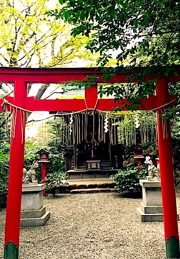 稲作と龍神 8⃣ 白玉稲荷神社_a0300530_15144667.jpg