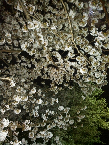 a0085632_00572573.jpg