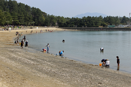 小戸公園の桜　2015年4月2日_a0129233_21323285.jpg