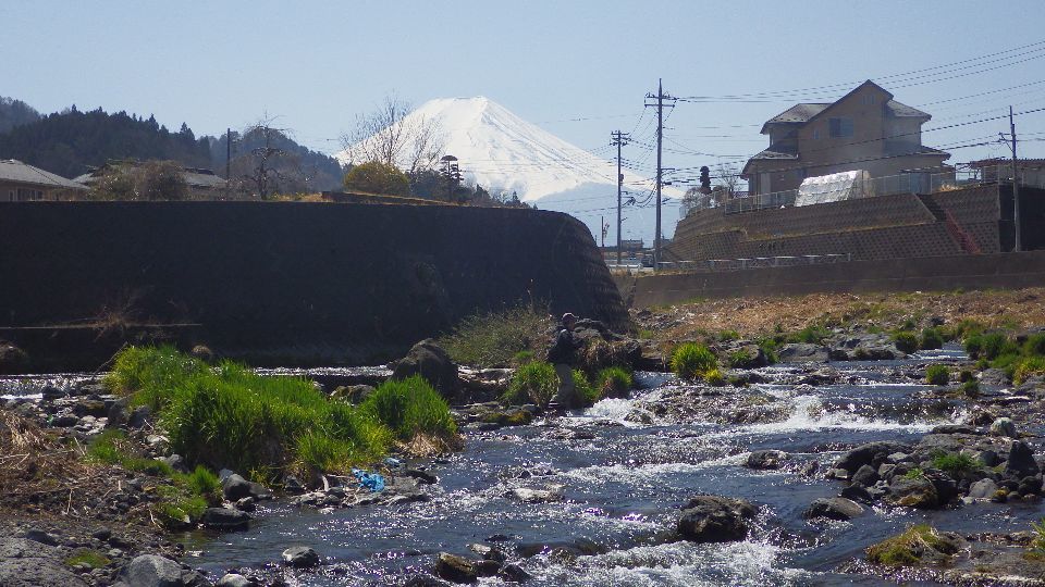 2015 解禁 桂川釣行_c0149633_15173924.jpg