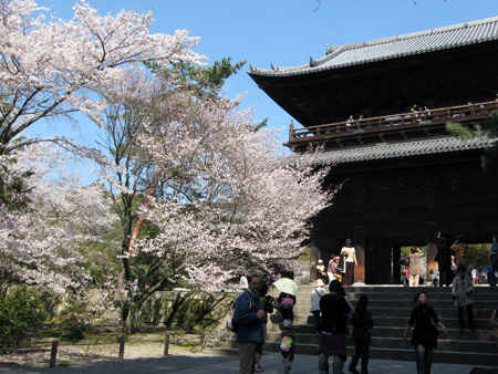 日本の桜7 京都南禅寺_f0234936_7281451.jpg