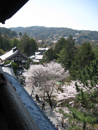 日本の桜7 京都南禅寺_f0234936_728725.jpg