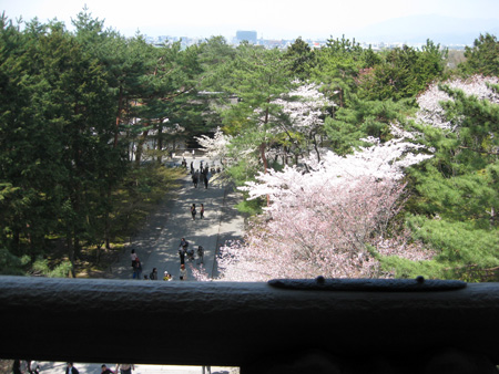 日本の桜7 京都南禅寺_f0234936_7293481.jpg