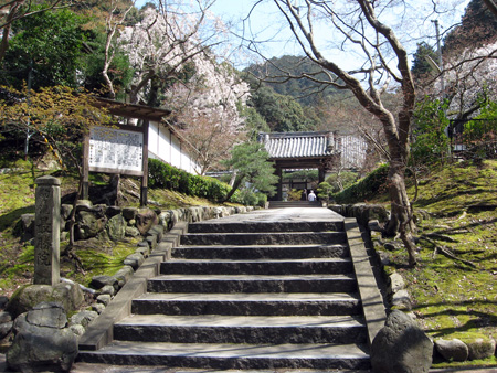 日本の桜7 京都南禅寺_f0234936_73031100.jpg