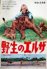 野生のエルザ_e0080345_09015001.jpg