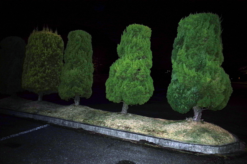 e0321045_2243374.jpg