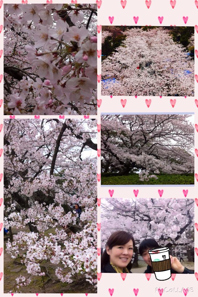 娘と花見♪舞鶴公園さくら祭り_f0140145_1045533.jpg
