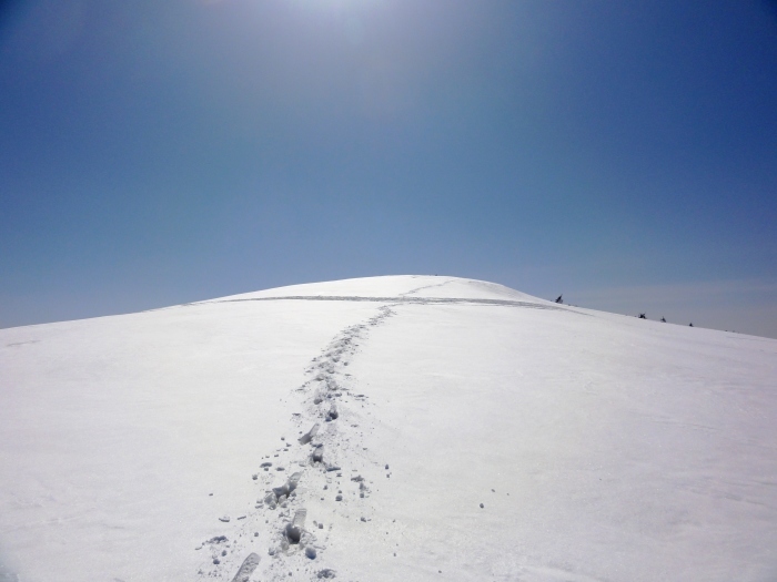 八甲田山青空の歩行_a0122149_21560266.jpg