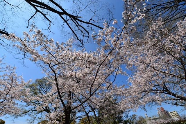 a0328052_18392800.jpg