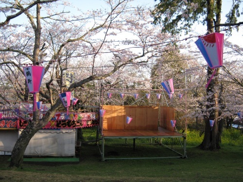 桜の開花状況４月２日_c0363752_13571504.jpg