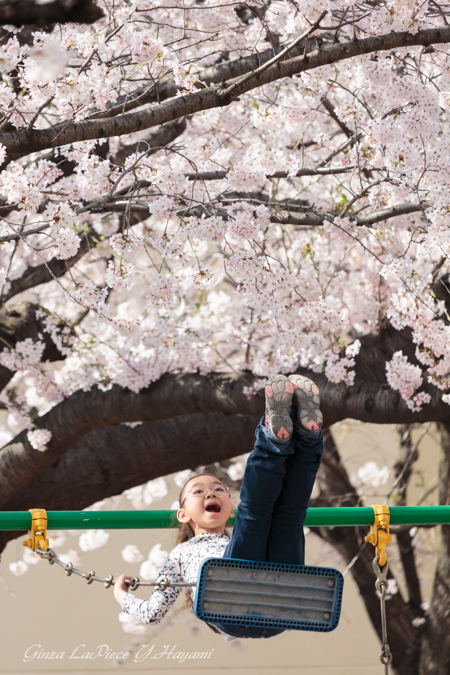 子供のいる風景　桜 ブランコ 女の子_b0133053_0563444.jpg