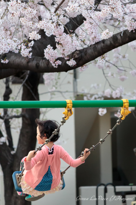 子供のいる風景　桜 ブランコ 女の子_b0133053_0563669.jpg