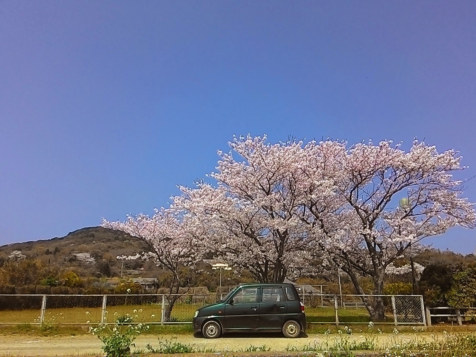 本日の能古島_f0201157_18404232.jpg