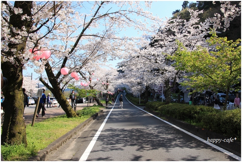 家山の桜トンネルとSL♪_a0167759_23454249.jpg