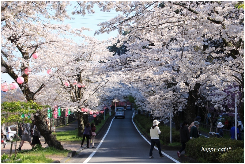 家山の桜トンネルとSL♪_a0167759_23464715.jpg